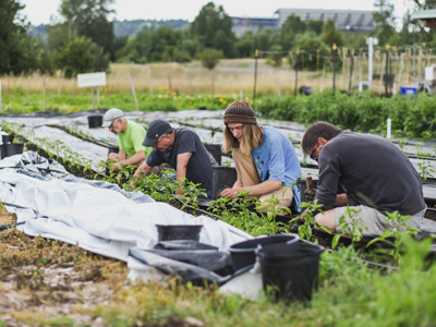 students and volunteers working at the UW Farm
